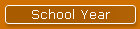 School Year