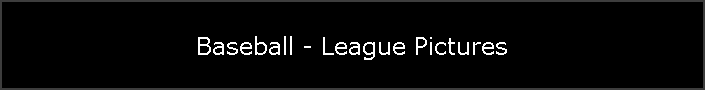 Baseball - League Pictures