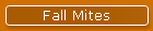 Fall Mites
