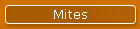 Mites