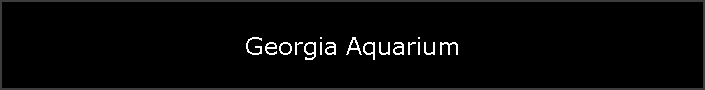 Georgia Aquarium