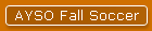 AYSO Fall Soccer