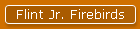 Flint Jr. Firebirds