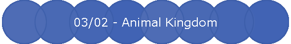 03/02 - Animal Kingdom